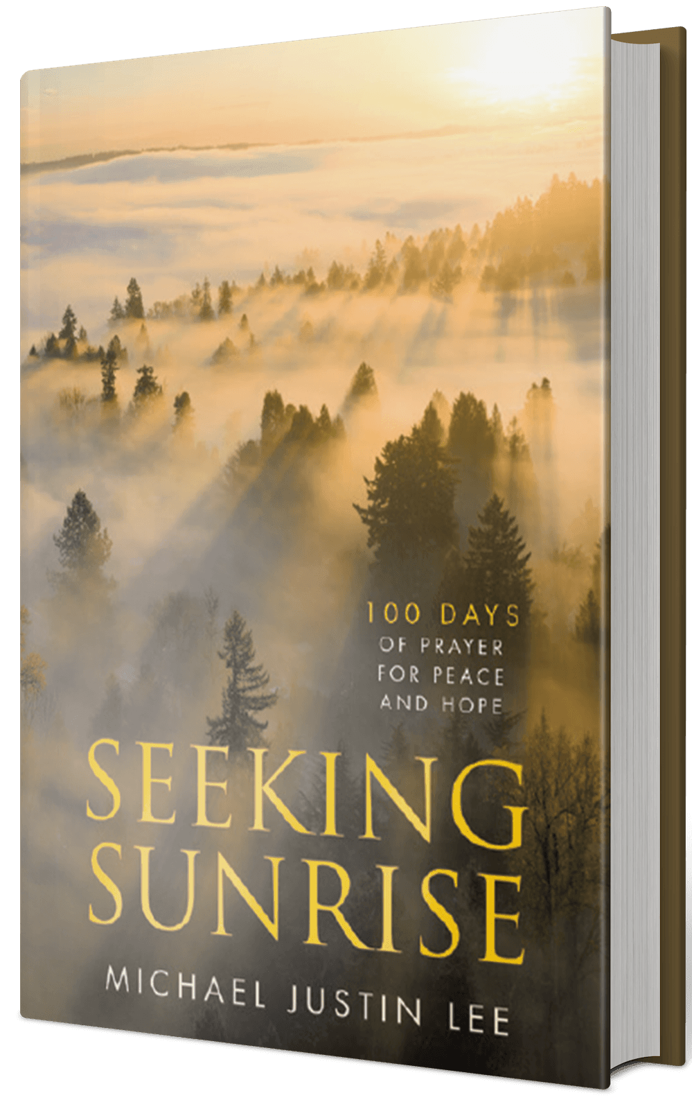 Seeking Sunrise book cover